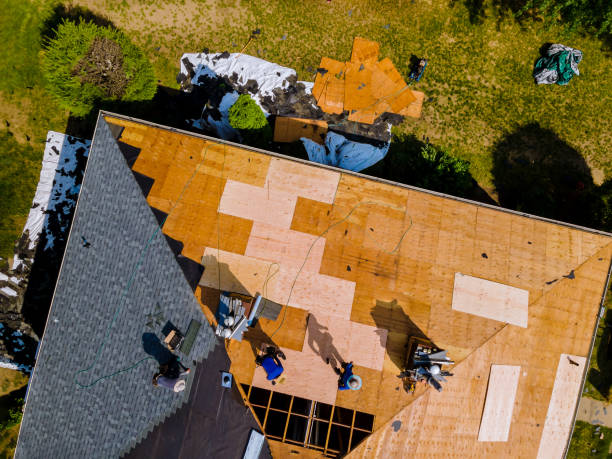 Roof Gutter Cleaning in Owingsville, KY