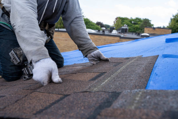 Best Metal Roofing Contractor  in Owingsville, KY
