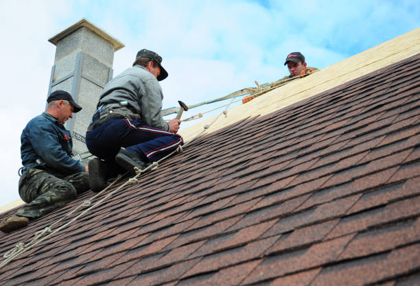 Best New Roof Installation  in Owingsville, KY